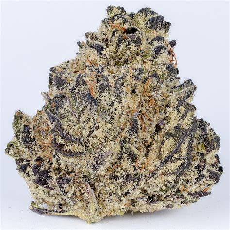 best terrapin strains|Here is my current top ten list of pa mmj flower. What。